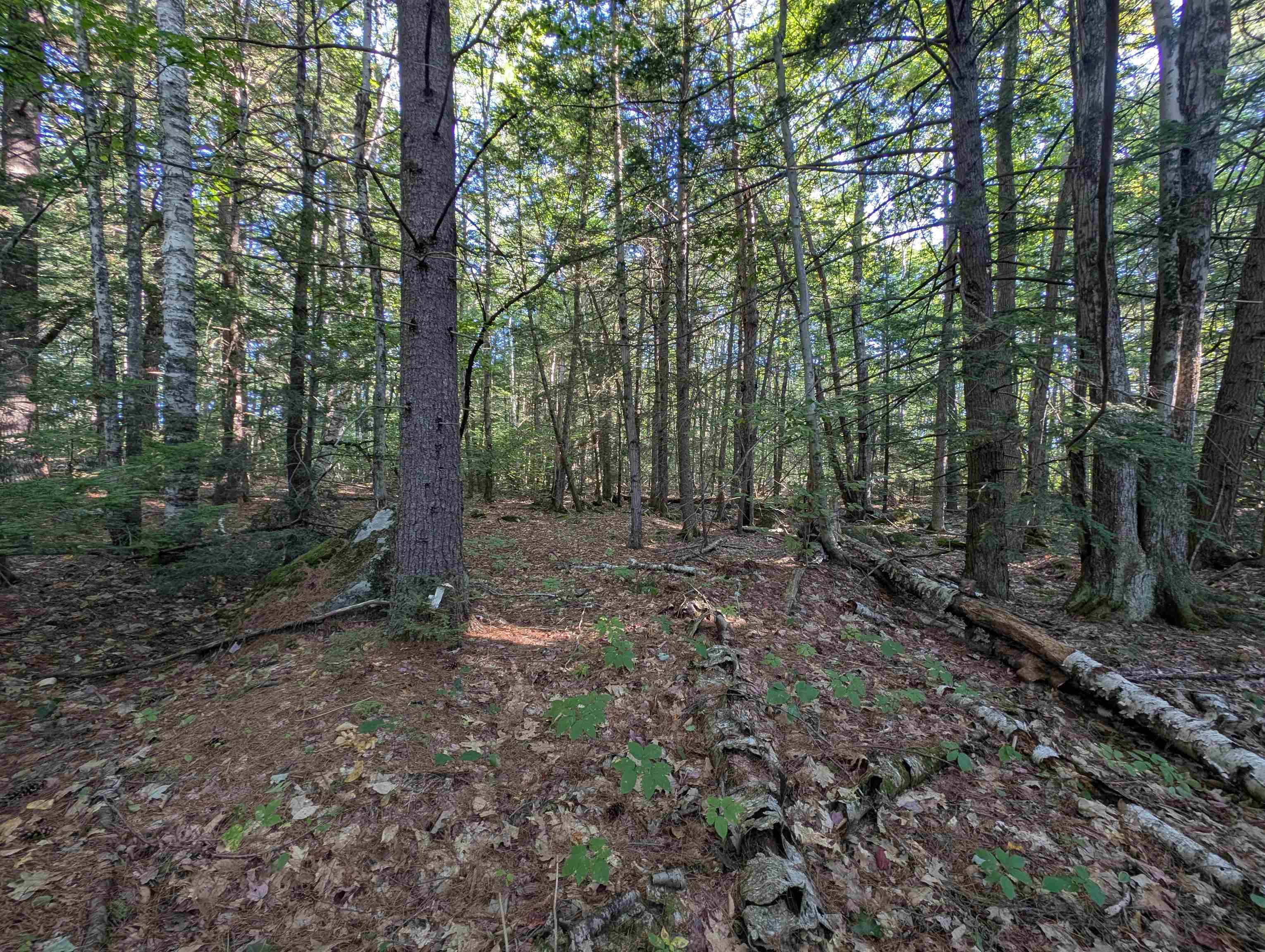 8-043-000 School House Road Francestown, NH 03043 - Photo 13 of 24