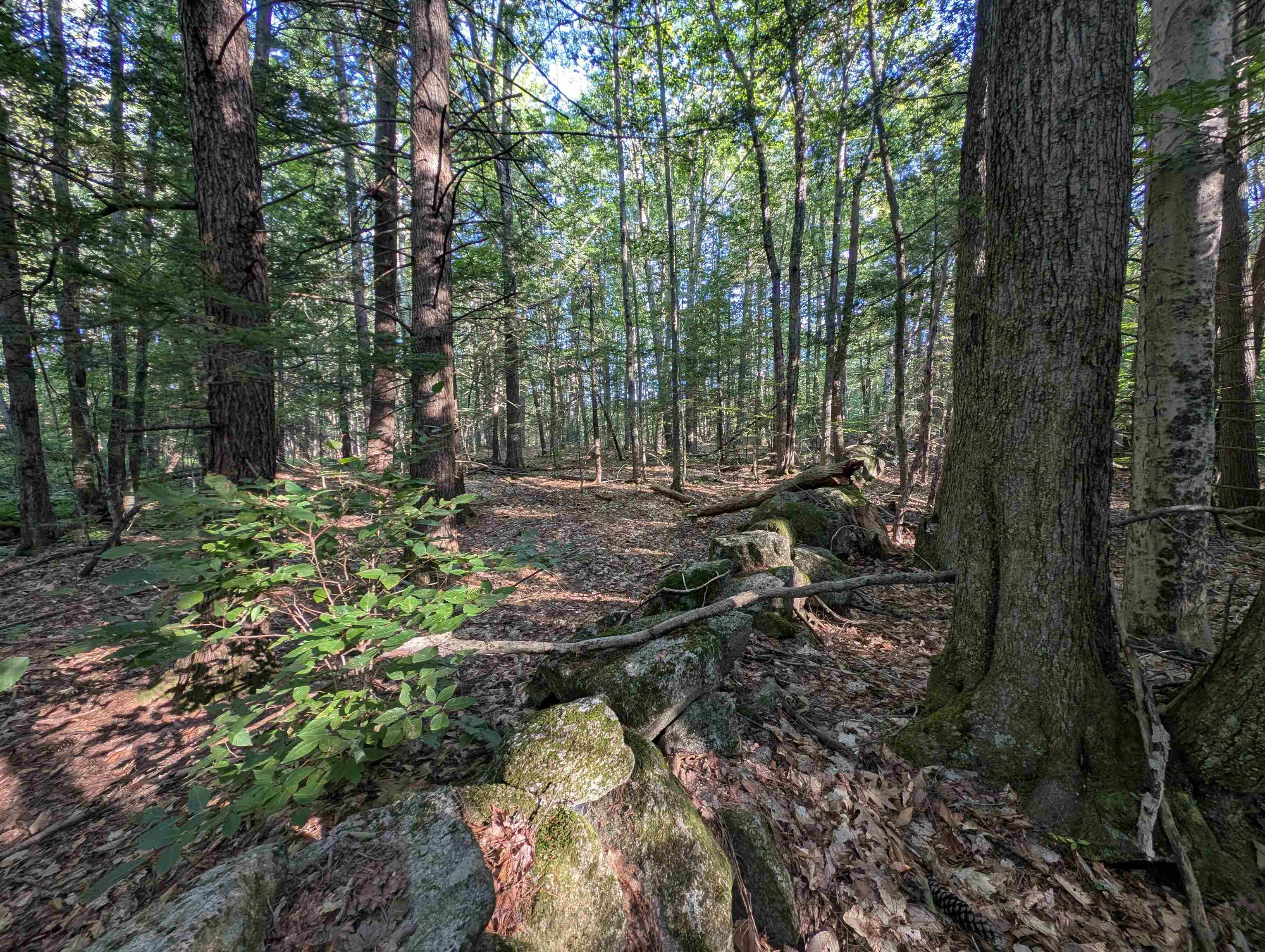 8-043-000 School House Road Francestown, NH 03043 - Photo 15 of 24