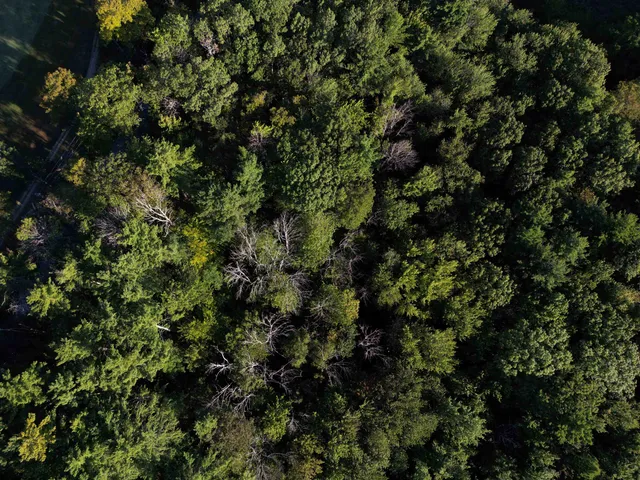 $200,000 | 8-043-000 School House Road, Francestown, NH 03043