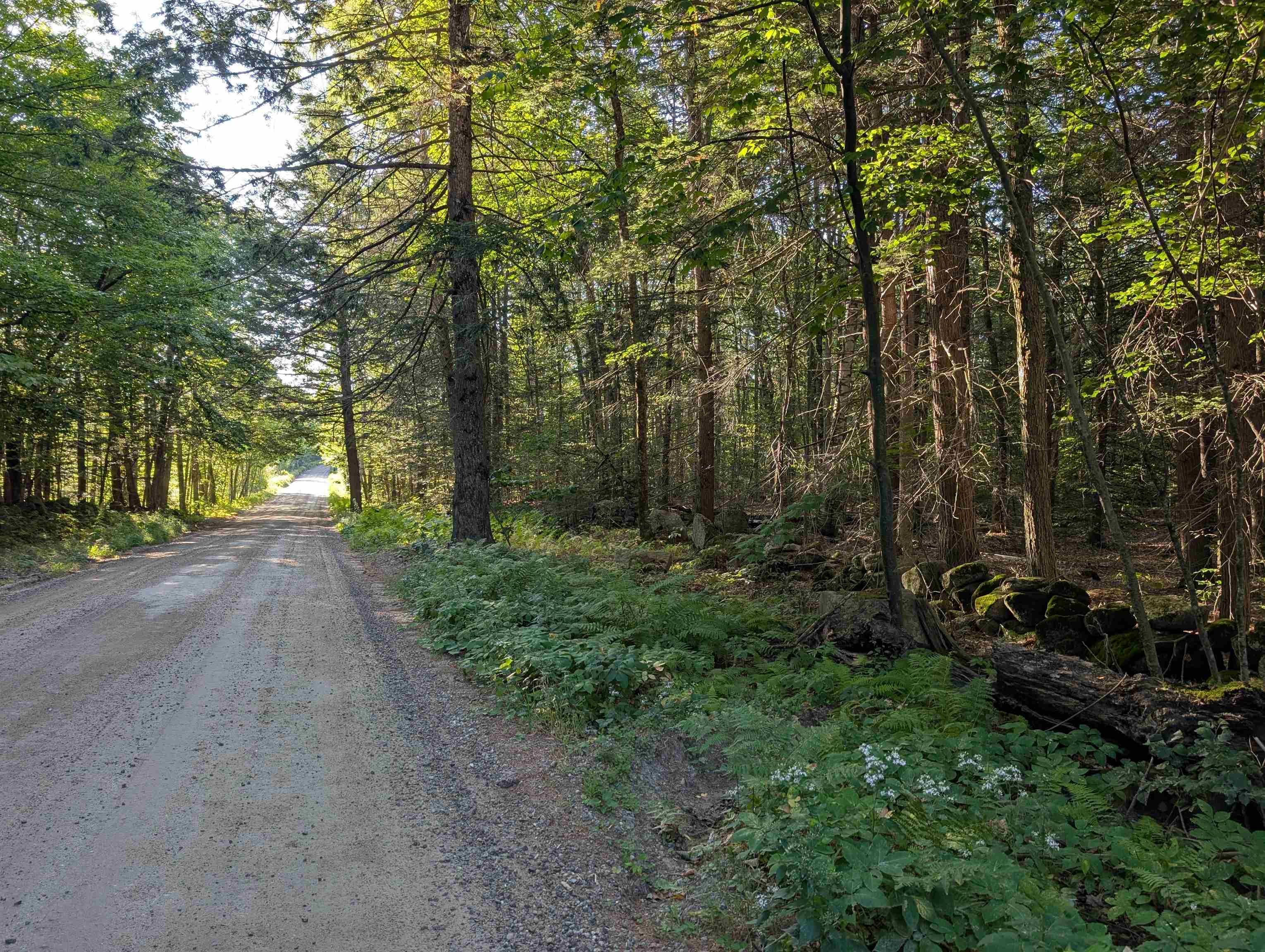 8-043-000 School House Road Francestown, NH 03043 - Photo 7 of 24