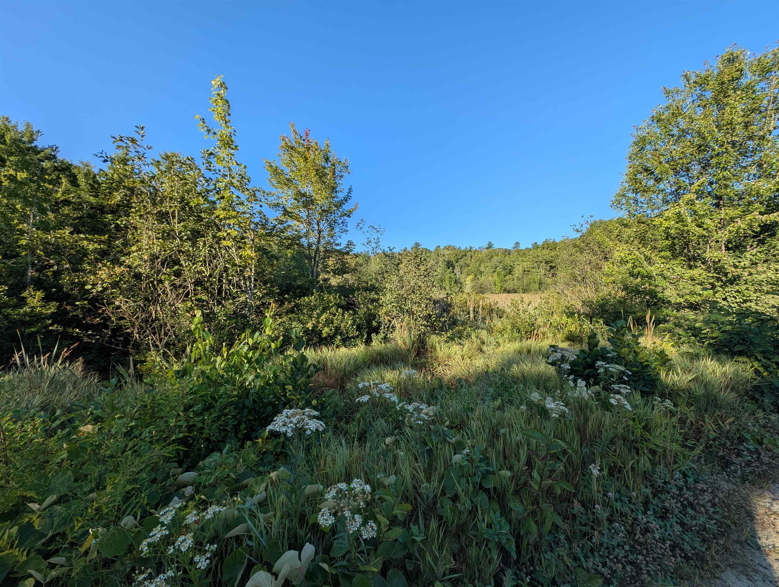 8-043-000 School House Road Francestown, NH 03043 - Photo 9 of 24