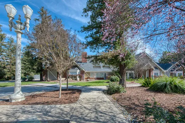 a view of a park with large trees