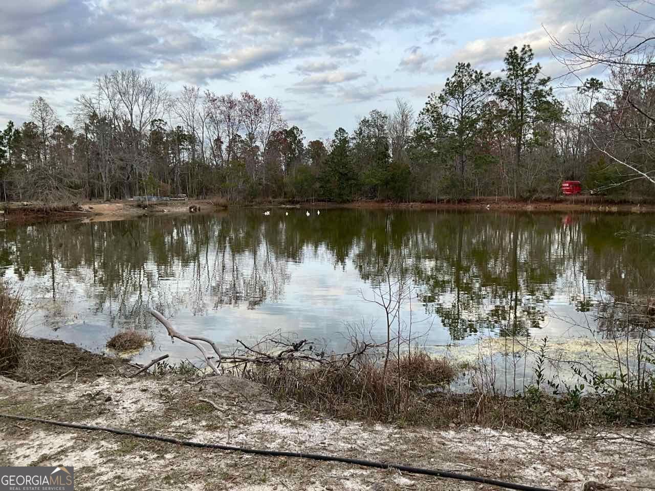 3210 Stoneback Street Waycross, GA 31503 - Photo 4 of 18