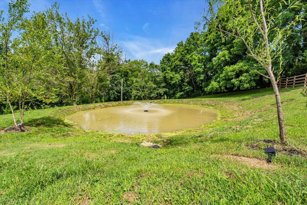 2896 Fly Road Santa Fe, TN 38482 - Photo 5 of 100