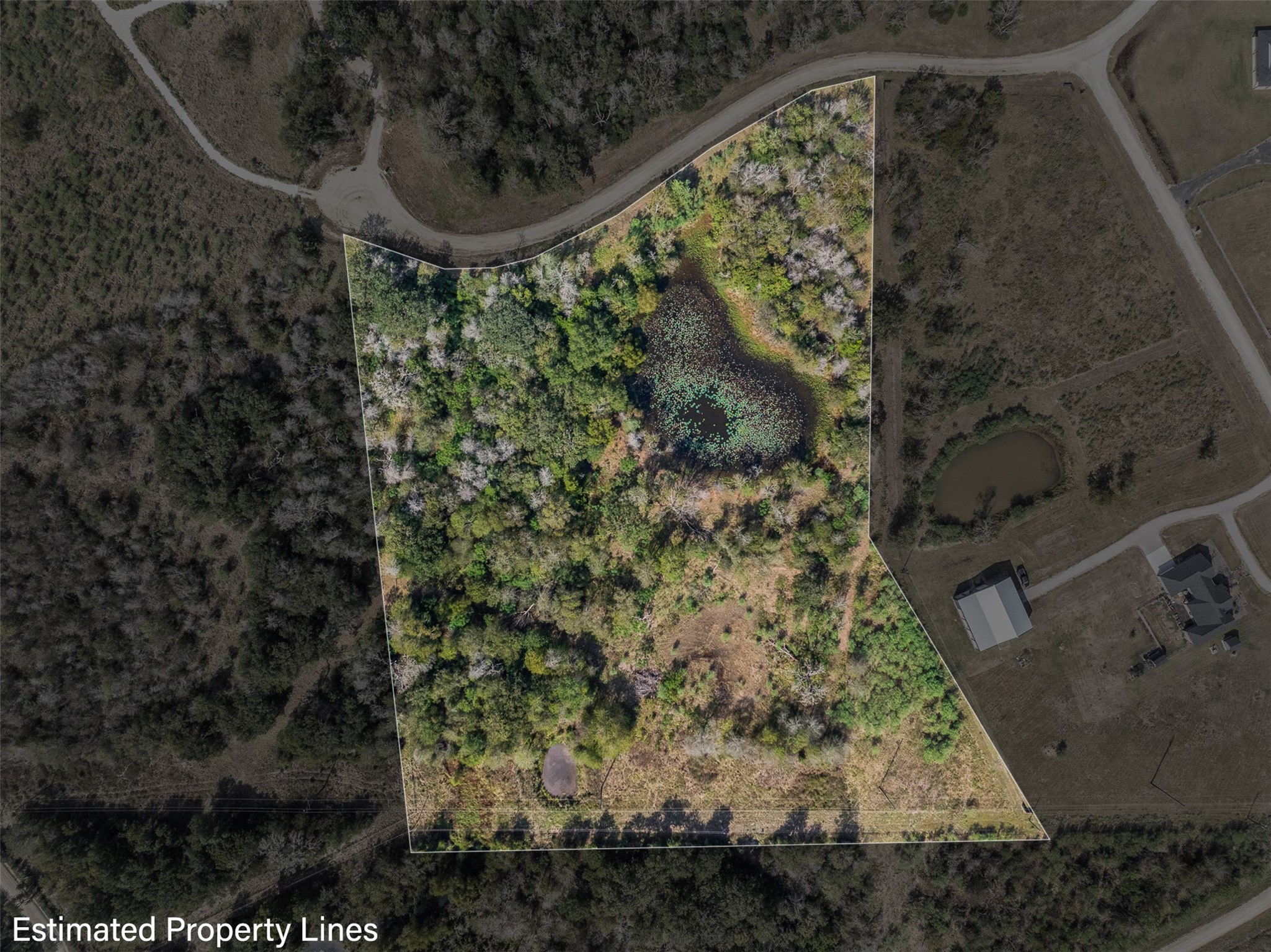 a picture of a tree in a yard