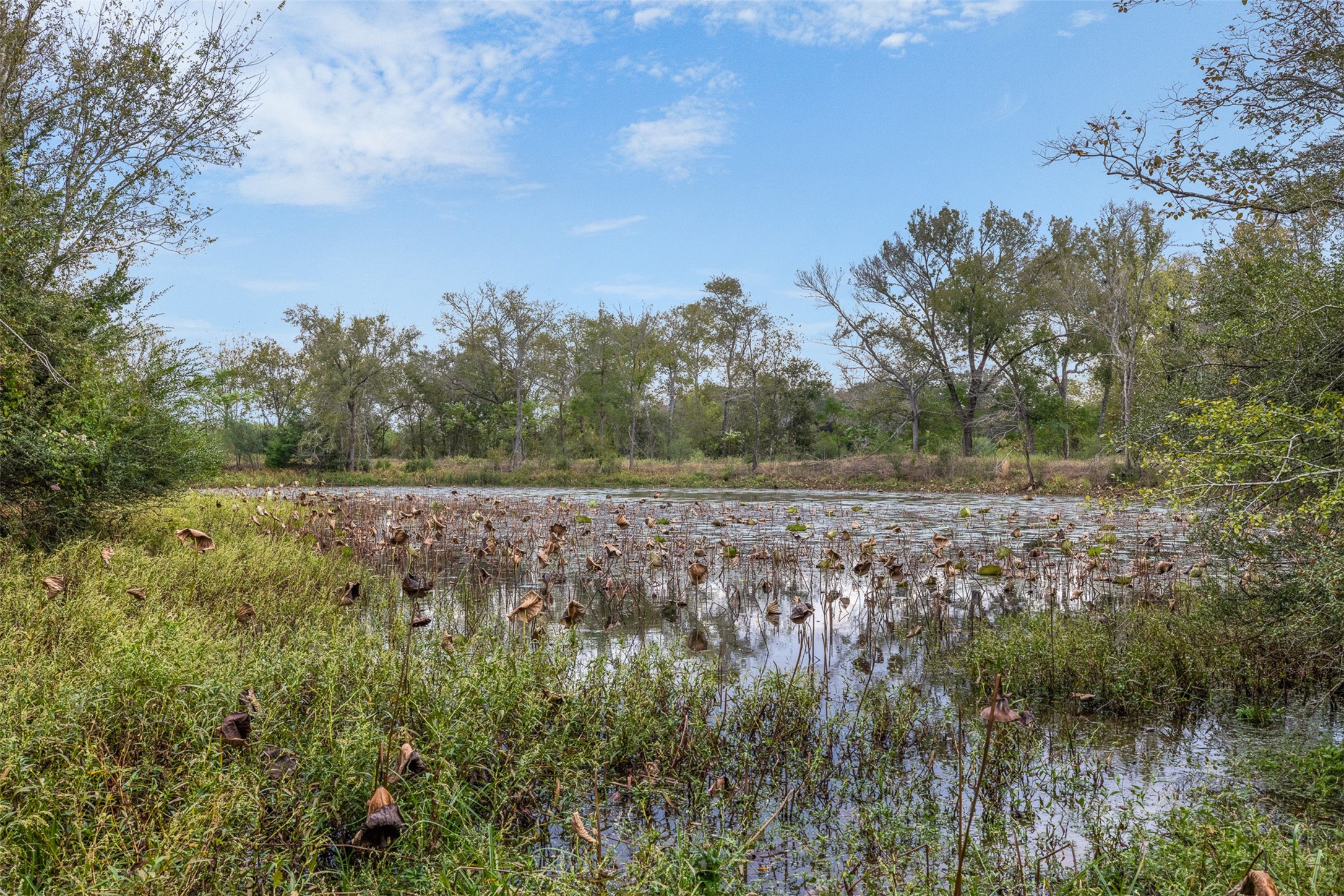 0 Pond Road Franklin, TX 77856 - Photo 17 of 17 a view of a field with trees in background