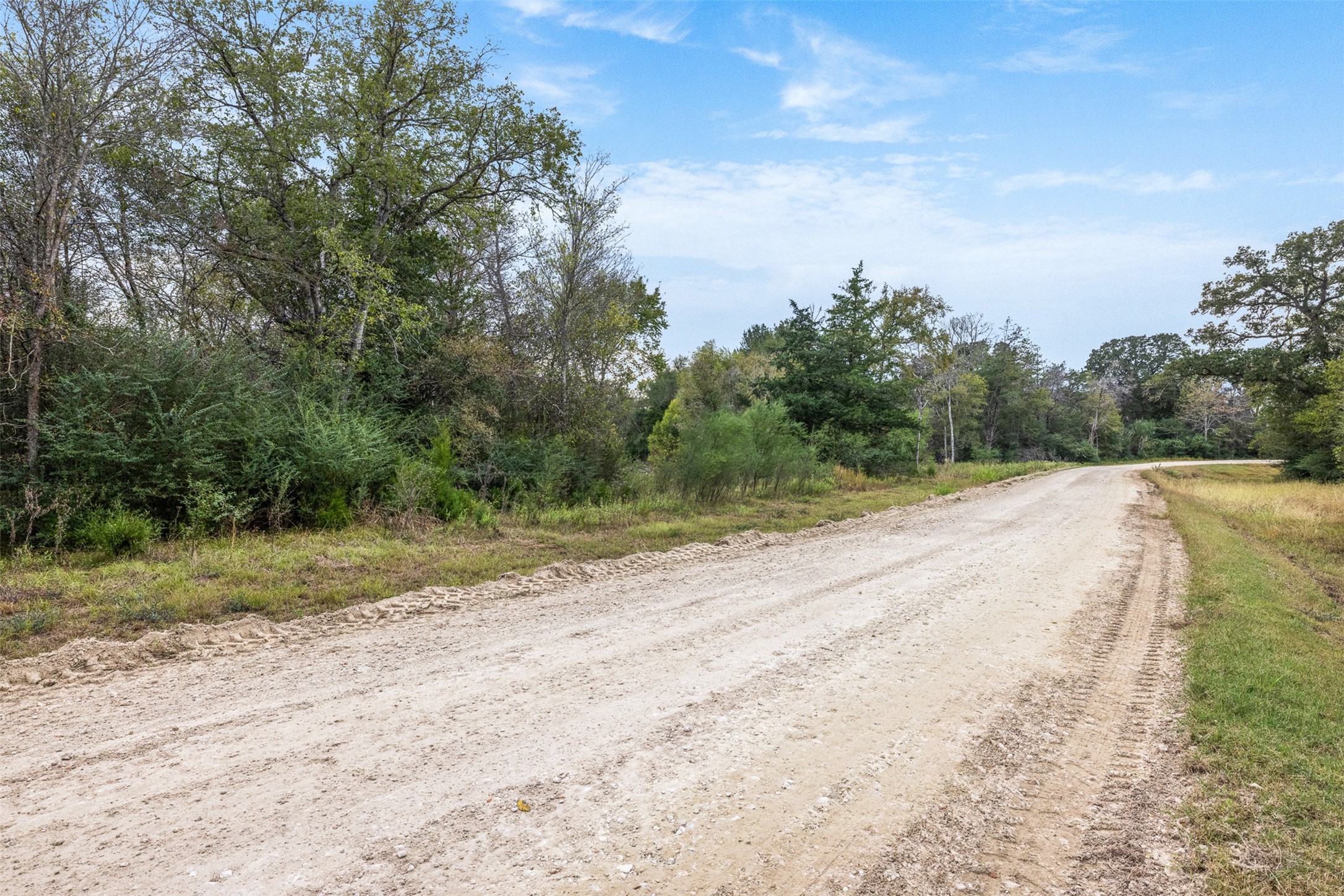 0 Pond Road Franklin, TX 77856 - Photo 3 of 17 a view of a dry yard with trees in the background