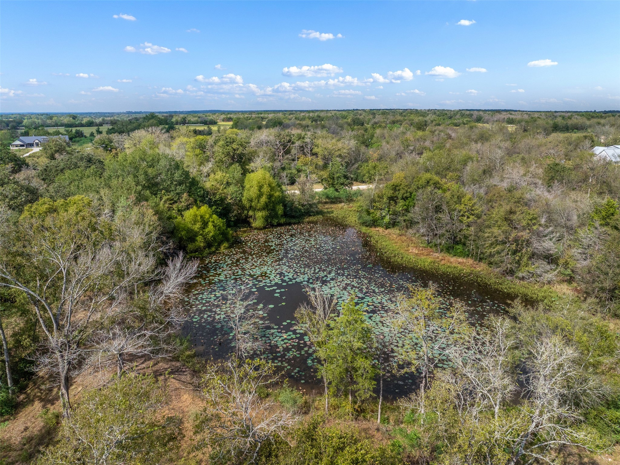 0 Pond Road Franklin, TX 77856 - Photo 7 of 17 a view of a pathway in a yard