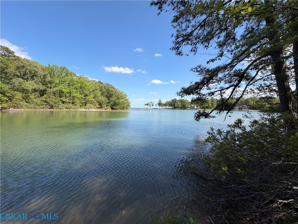 Tbd Taylors Beach Road Reedville, VA 22539 - Photo 1 of 3 Tranquil waterfront setting featuring natural shoreline, mature trees, and calm waters