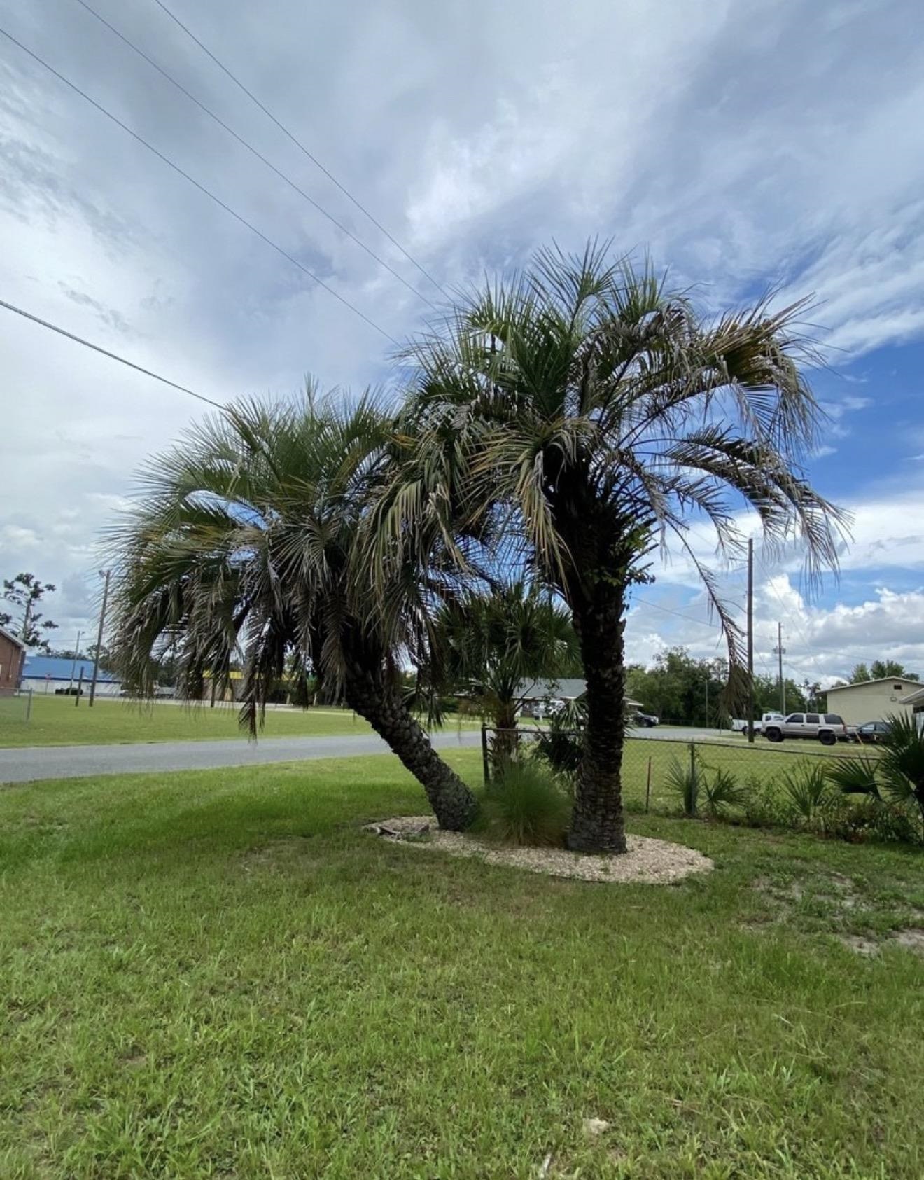 1012 South Orange Street Perry, FL 32348 - Photo 41 of 52
