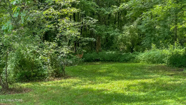 $350,000 | 3329 Stinking Creek Road, Pioneer, TN 37847