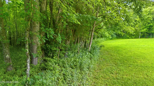 $350,000 | 3329 Stinking Creek Road, Pioneer, TN 37847