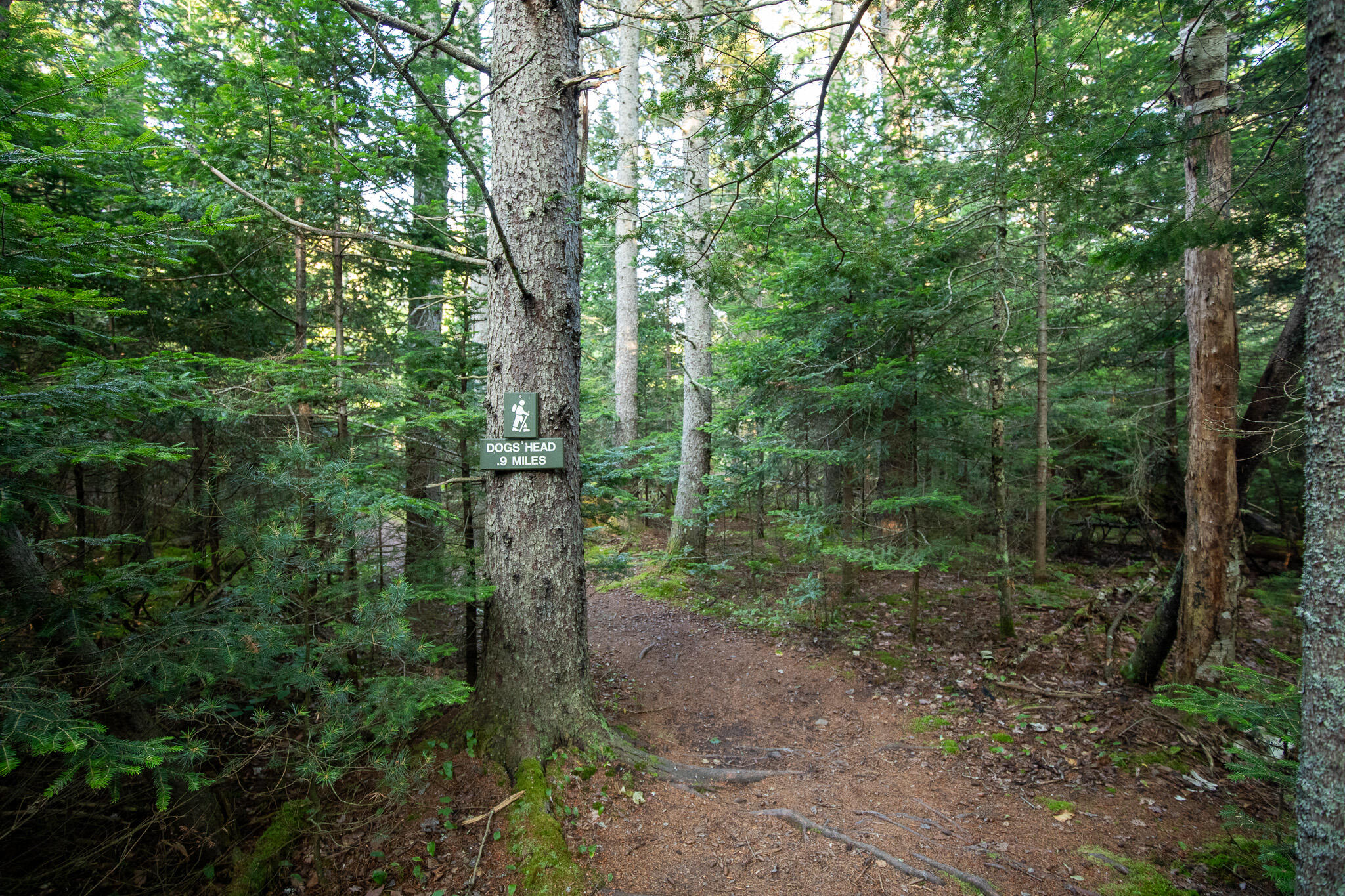 0 Bayview Road, Unit 2 Orrs Island, ME 04066 - Photo 36 of 61 837A9963