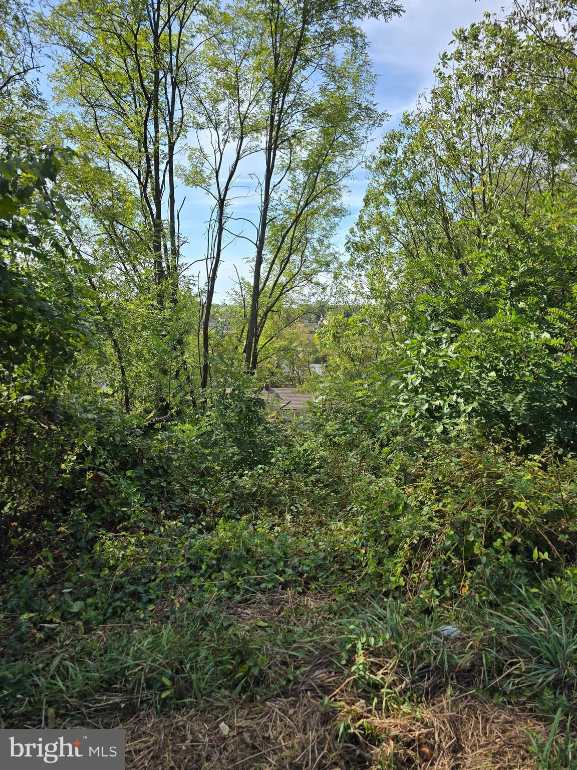 1445 2nd Street Enola, PA 17025 - Photo 25 of 25