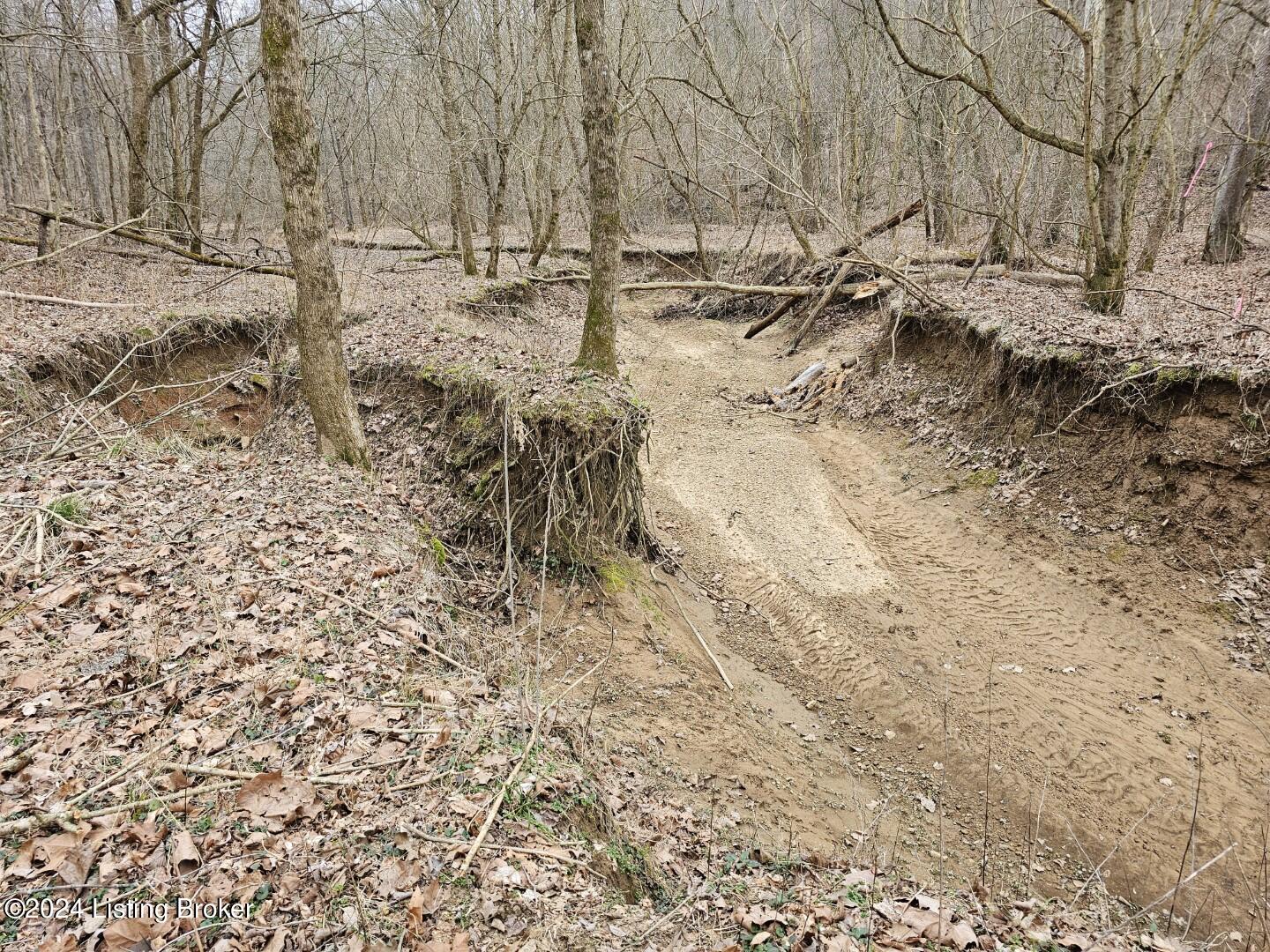 3 Nancy Priddy Road Upton, KY 42784 - Photo 18 of 21 20240209_134410 (Large)