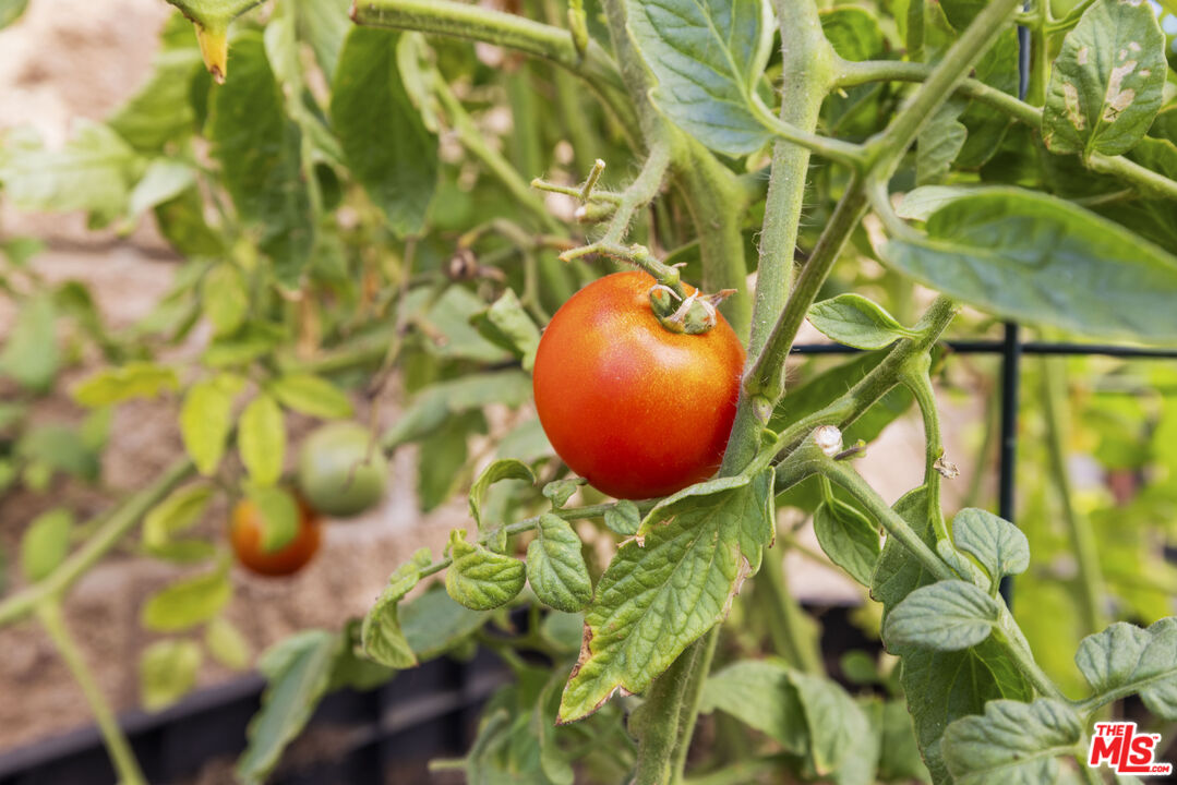 20211 Liverpool Way Porter Ranch, CA 91326 - Photo 52 of 62