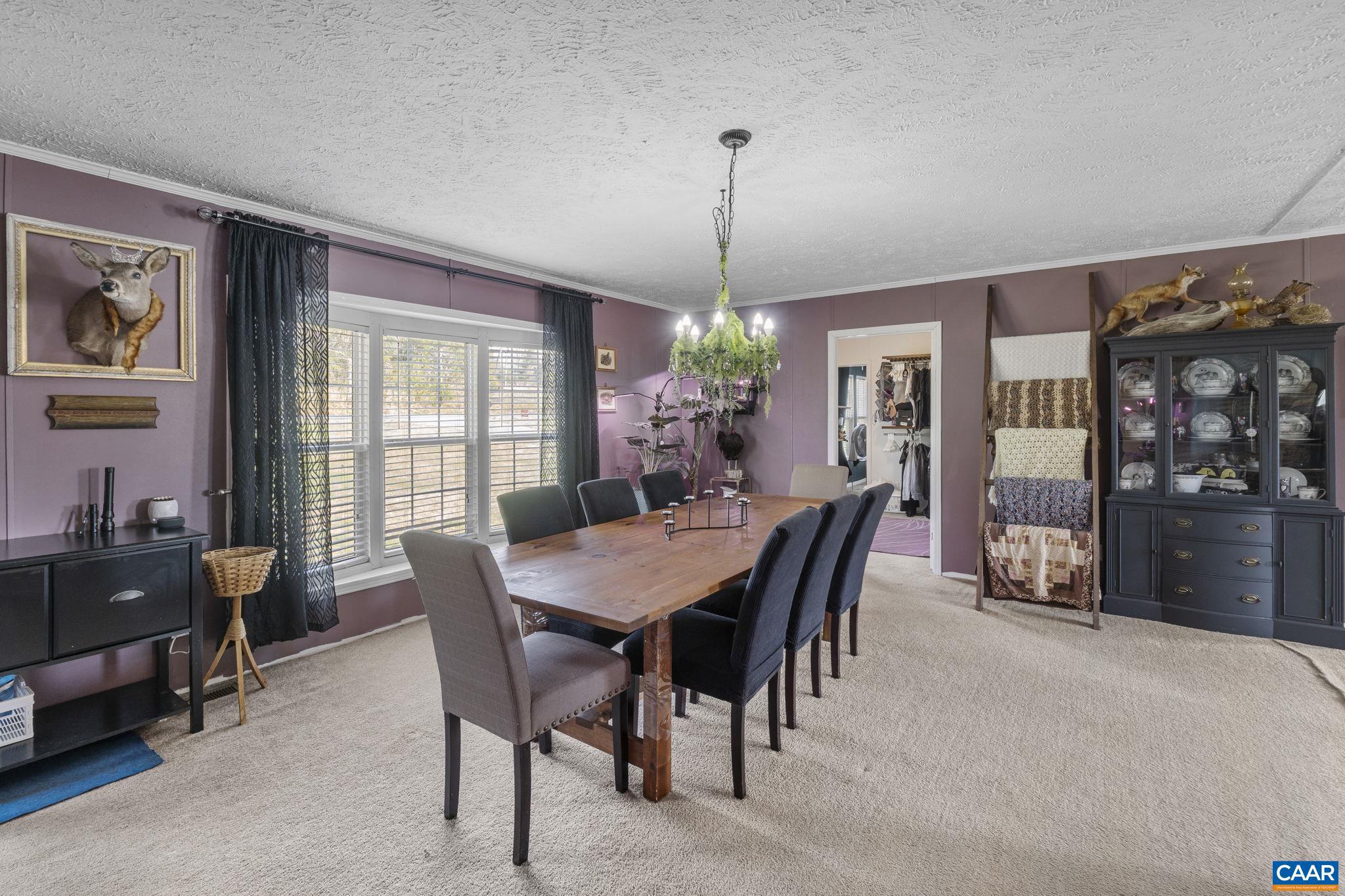 1173 Aylor Road Madison, VA 22727 - Photo 5 of 44