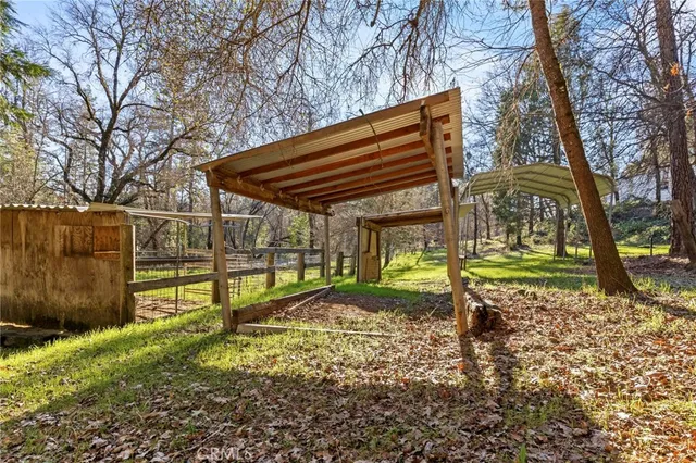 a view of a park with large trees