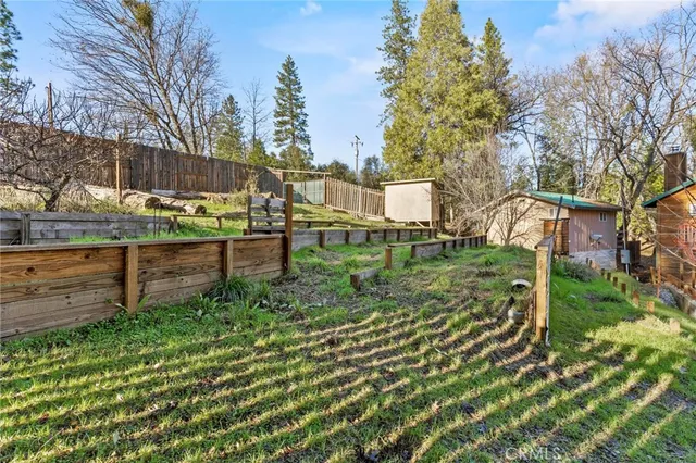 a view of a yard with large trees