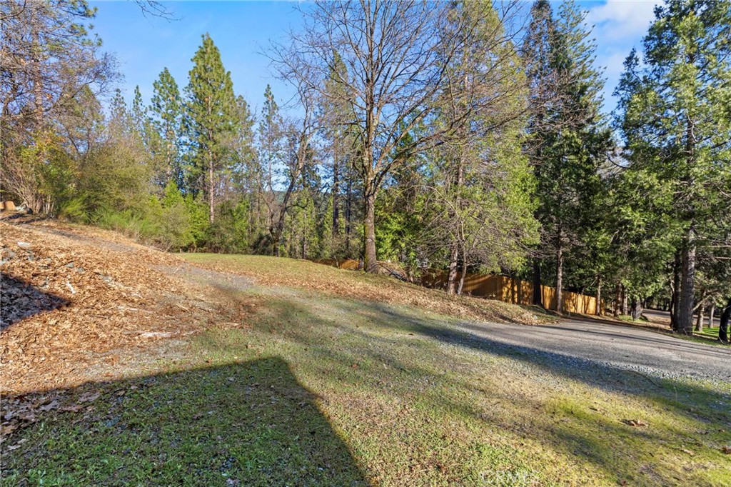 10761 Texas Hill Road Dobbins, CA 95935 - Photo 47 of 58 a view of a yard with large trees