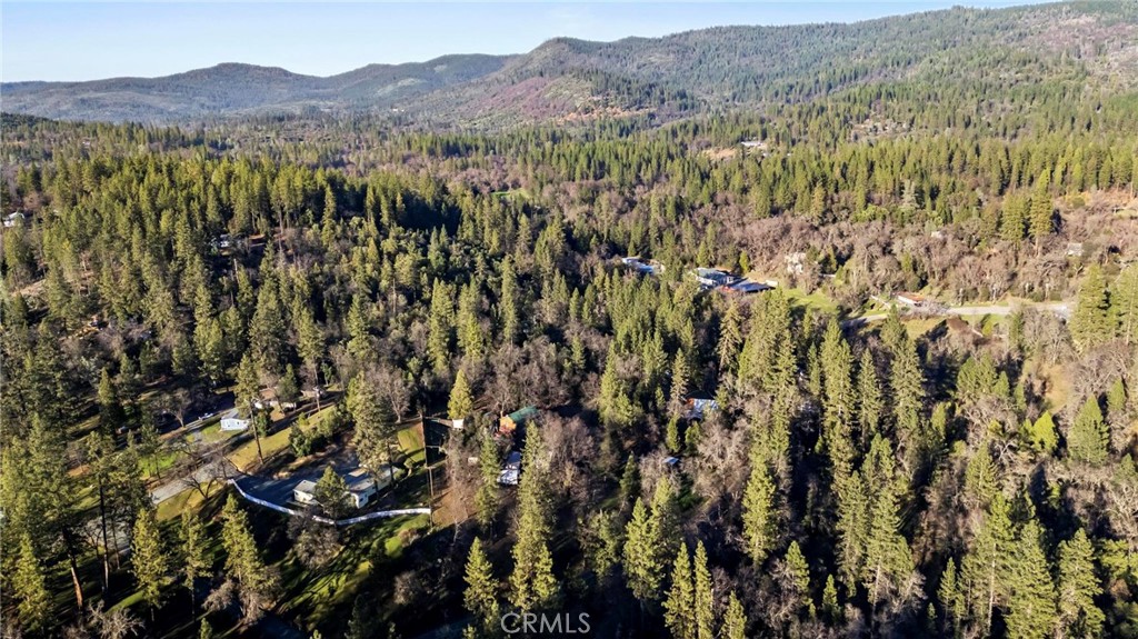 10761 Texas Hill Road Dobbins, CA 95935 - Photo 53 of 58 a view of a forest with a mountain