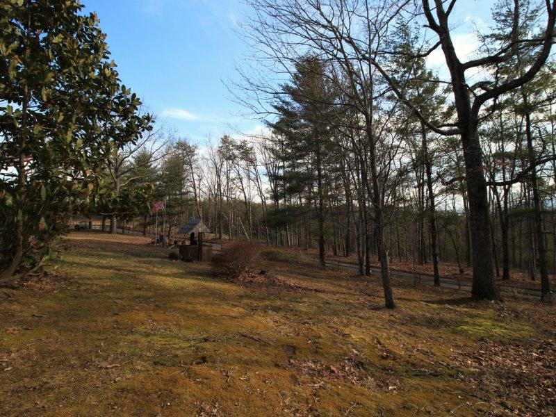 420 Pond Ridge Road Tellico Plains, TN 37385 - Photo 31 of 40 IMG_4739