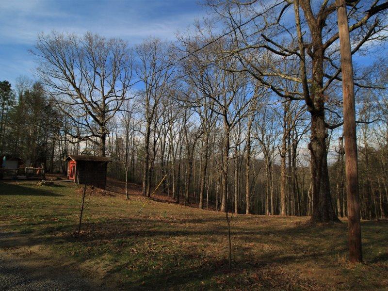 420 Pond Ridge Road Tellico Plains, TN 37385 - Photo 6 of 40 IMG_4733
