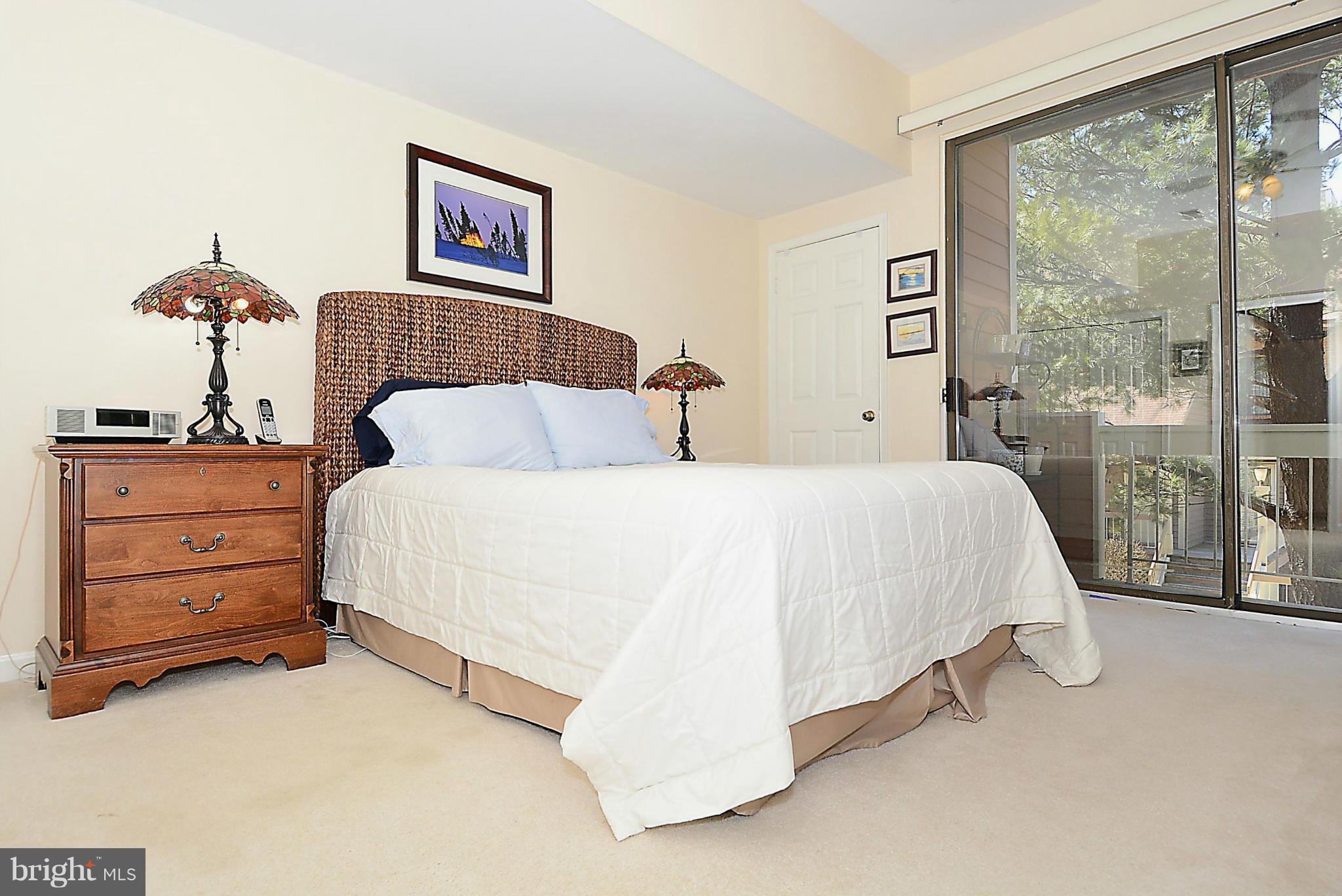 11210 Harbor Court, Unit 11210 Reston, VA 20191 - Photo 7 of 18 Master Bedroom