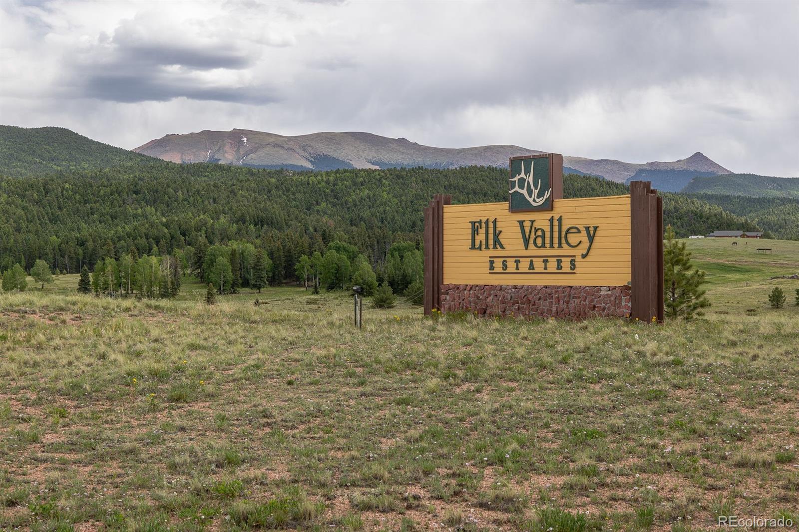 6100 Elk Valley Road Divide, CO 80814 - Photo 2 of 50 Gallery Image 2