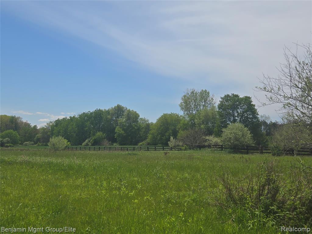 6827 Lapeer Road Smiths Creek, MI 48074 - Photo 15 of 16