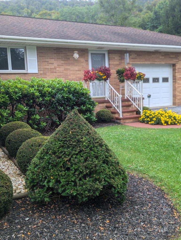 657 Reilly Hollow Road Smethport, PA 16749 - Photo 57 of 70 Gallery Image 57