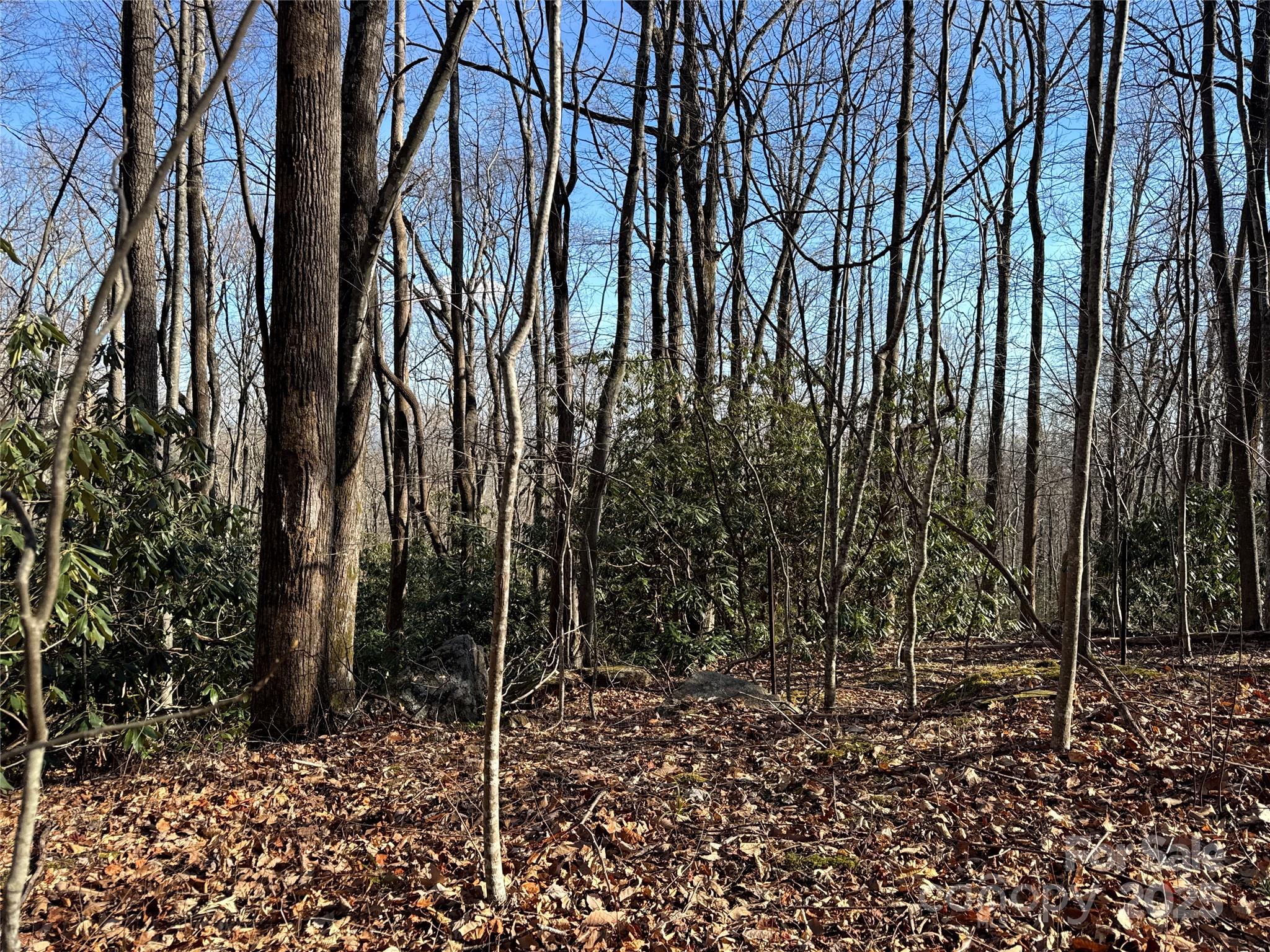 0 Judes Gap Road, Unit 2 Mill Spring, NC 28756 - Photo 3 of 5 a view of a backyard