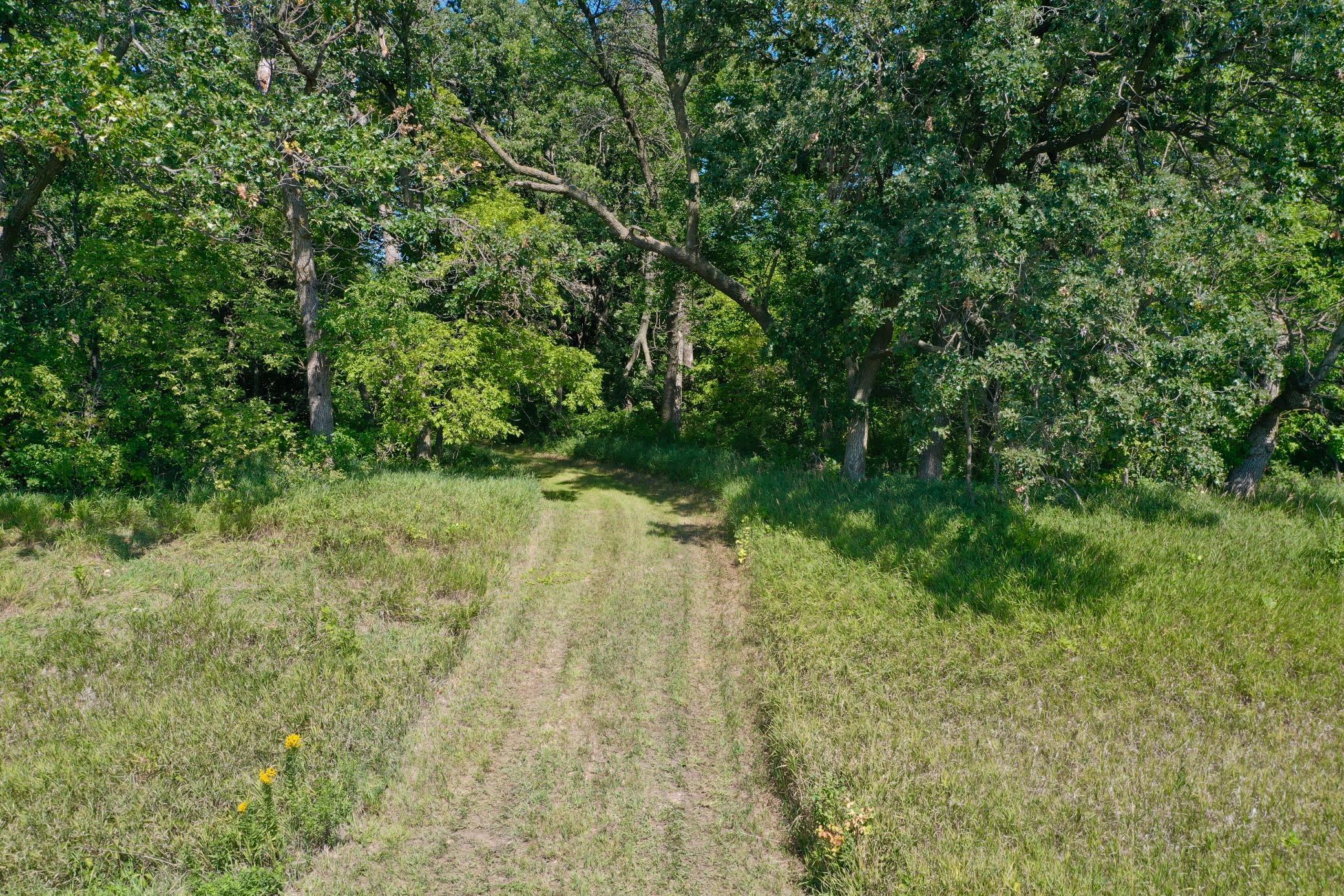 13638 183rd Street Barrett, MN 56311 - Photo 14 of 19