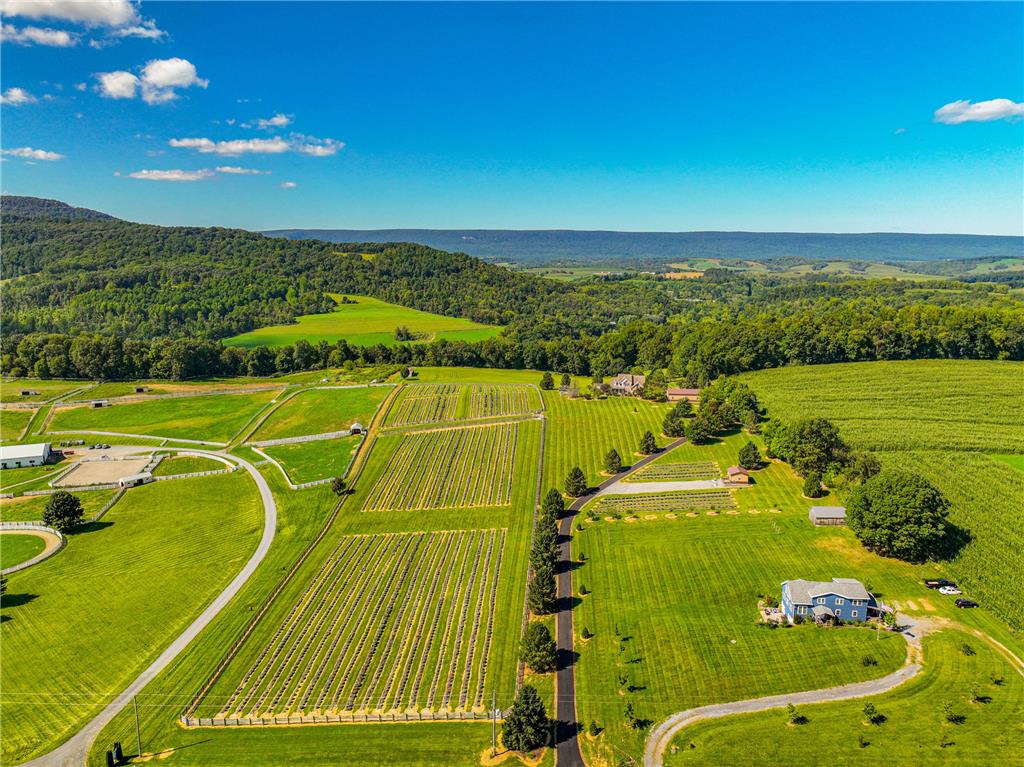 63 Long Road Lenhartsville, PA 19534 - Photo 9 of 100 Lush rolling pastures and structured crop rows stretch toward majestic distant mountains under clear blue skies.
