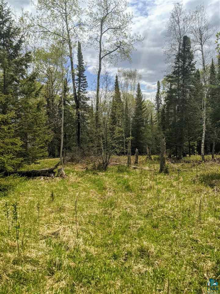 9706 Halkett Road Poplar, WI 54864 - Photo 5 of 27