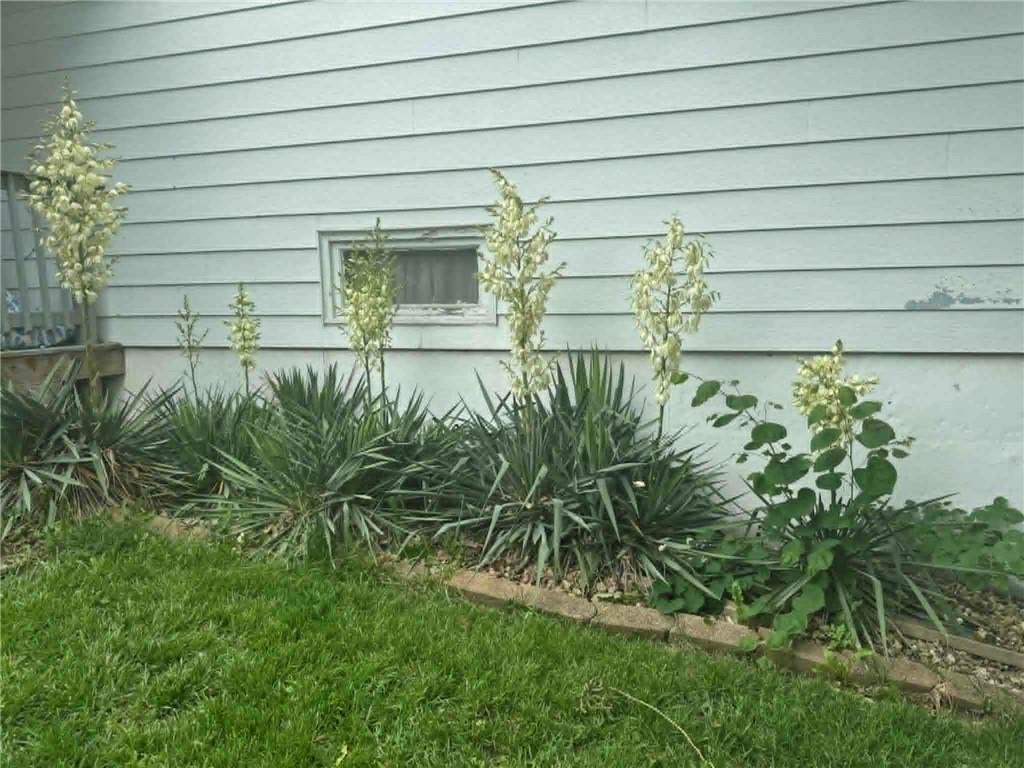 3304 North Delaware Street Independence, MO 64050 - Photo 23 of 30