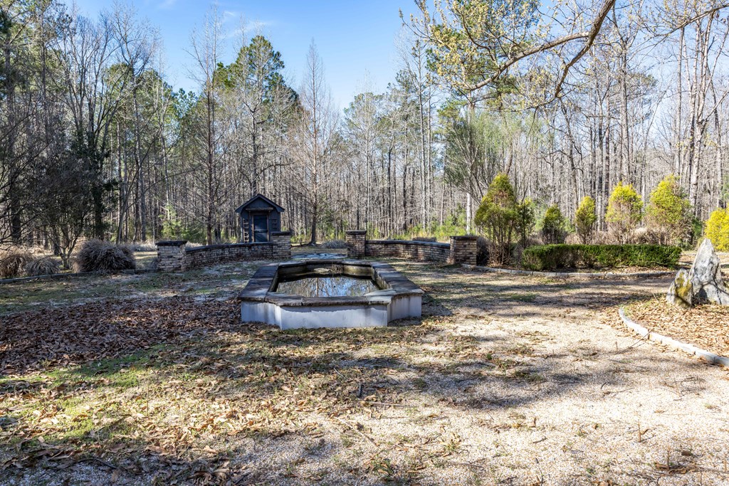 8435 Cartledge Road Box Springs, GA 31801 - Photo 57 of 100 Gallery Image 57