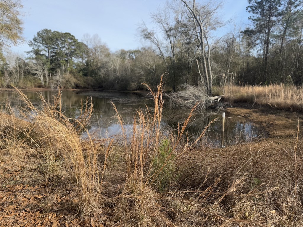 209 Pond View Lane Opp, AL 36467 - Photo 18 of 28