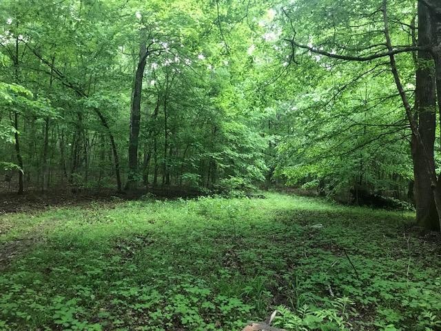 5 A Soules Chapel Road Cunningham, TN 37052 - Photo 8 of 9 Gallery Image 8