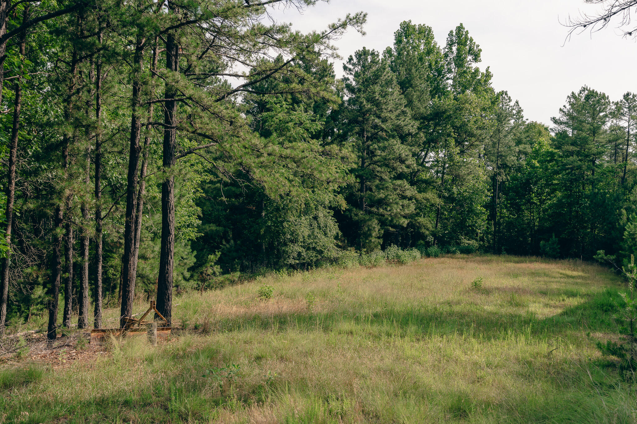 0 Sugar Tree Hollow Road Eagle Rock, VA 24085 - Photo 10 of 18 Miller 14