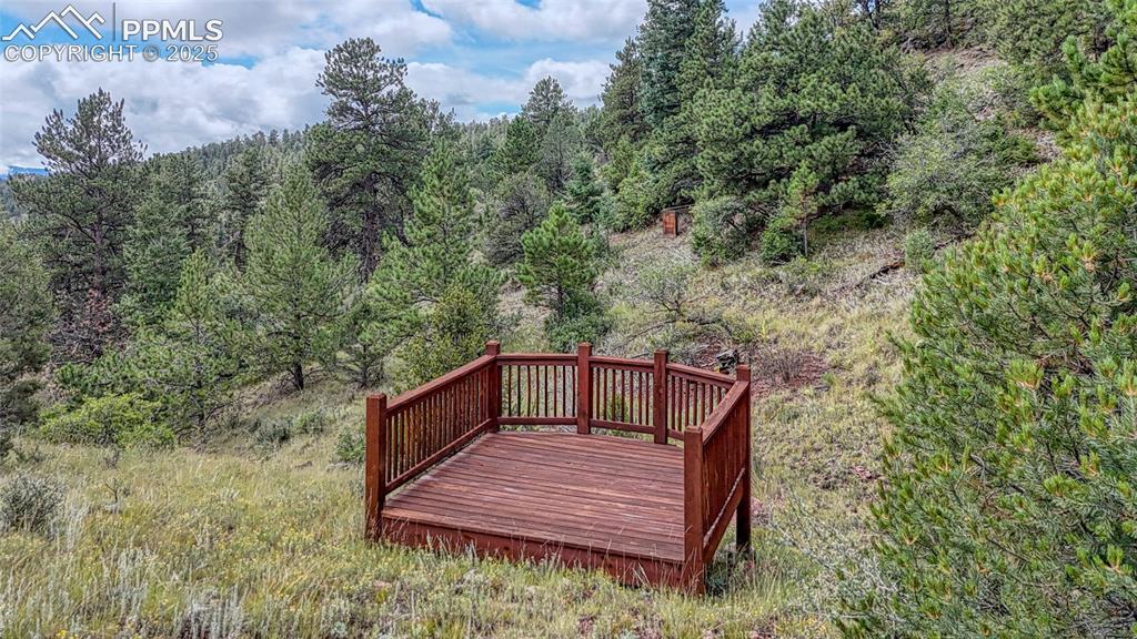 62 Cheyenne Road Florissant, CO 80816 - Photo 29 of 50
