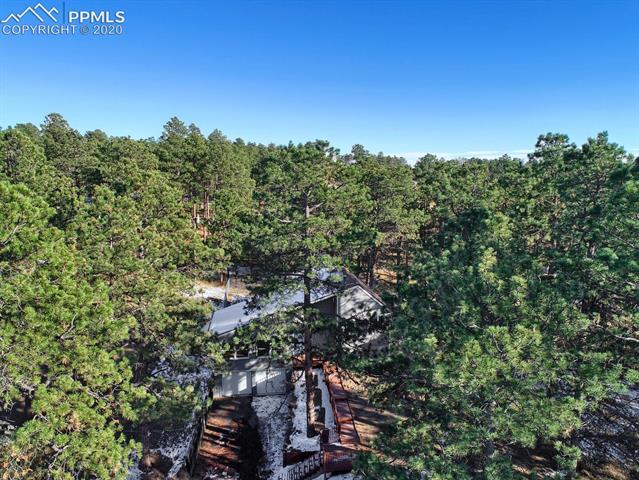8345 Swan Road Colorado Springs, CO 80908 - Photo 10 of 45