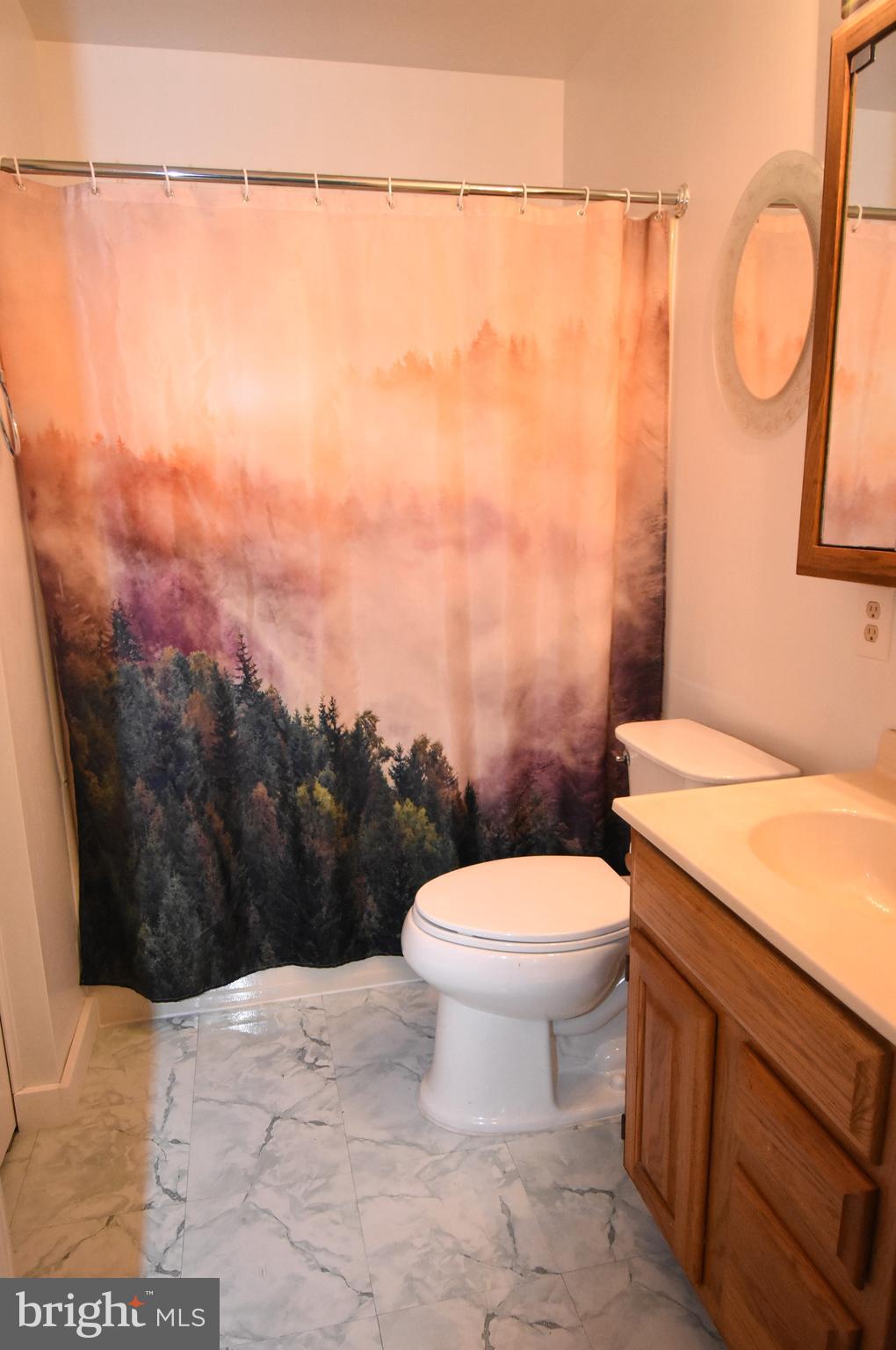 7320 Tred Avon Road Middle River, MD 21220 - Photo 25 of 29 Full Bath with Tub/Shower Combo