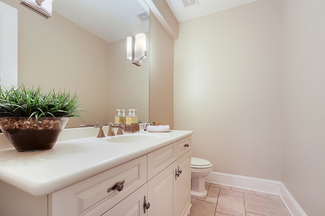 218 Shadow Ridge Court Palos Park, IL 60464 - Photo 18 of 40 a bathroom with a potted plant and a sink