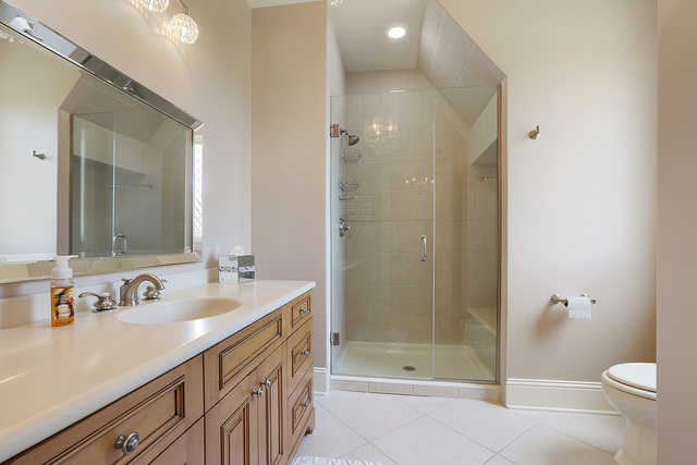 218 Shadow Ridge Court Palos Park, IL 60464 - Photo 24 of 40 a bathroom with a sink a toilet and shower
