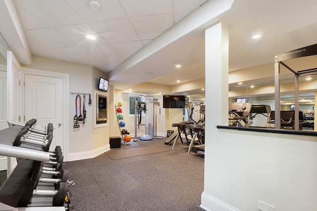 218 Shadow Ridge Court Palos Park, IL 60464 - Photo 34 of 40 a view of a room with gym equipment