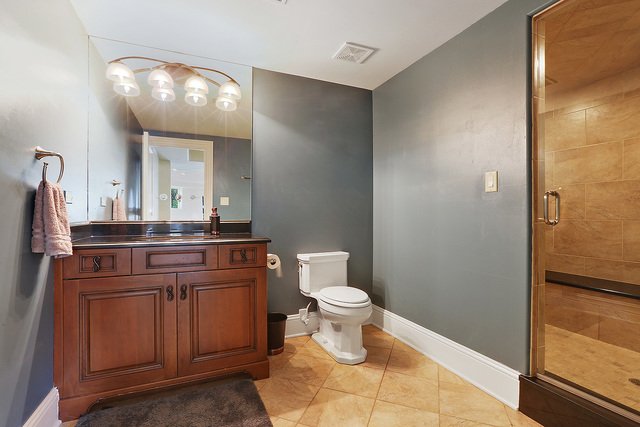 218 Shadow Ridge Court Palos Park, IL 60464 - Photo 35 of 40 a bathroom with a sink and a mirror