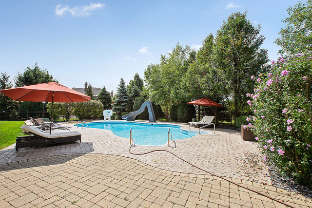 218 Shadow Ridge Court Palos Park, IL 60464 - Photo 38 of 40 a view of a swimming pool with a patio