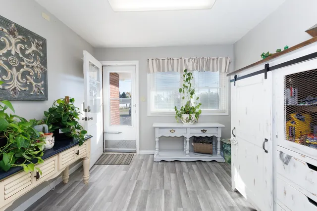 a room with furniture and a potted plant