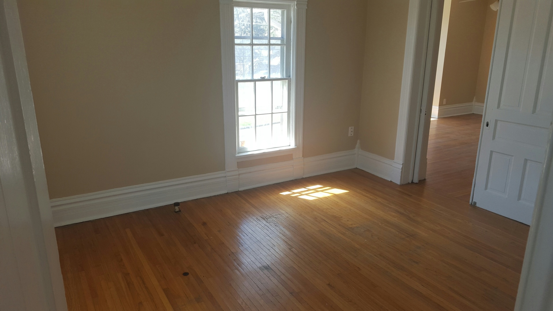 486 Ashland Avenue Elgin, IL 60123 - Photo 20 of 21 an empty room with wooden floor and windows